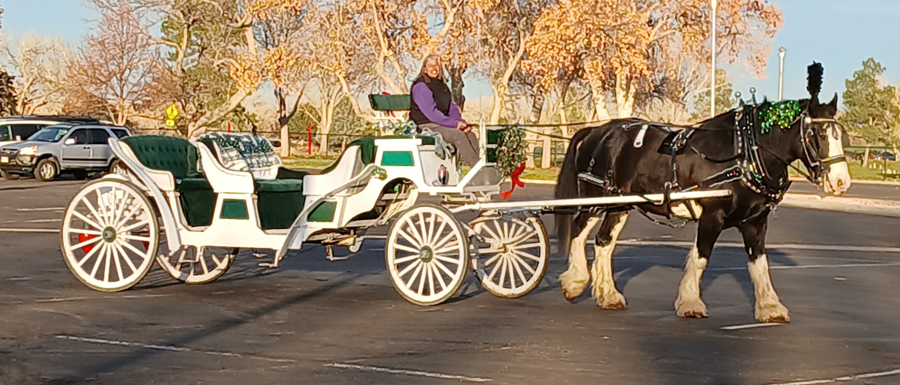 Horse-drawn carriage at the ranch