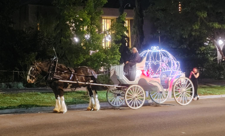 Ornate carriage decorated with blue and pink LED lights